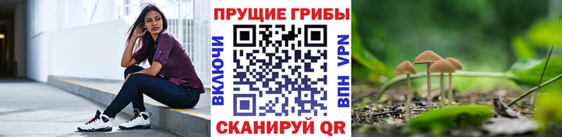 Купить где  Элиста  Галлюциногенные грибы мухоморы 